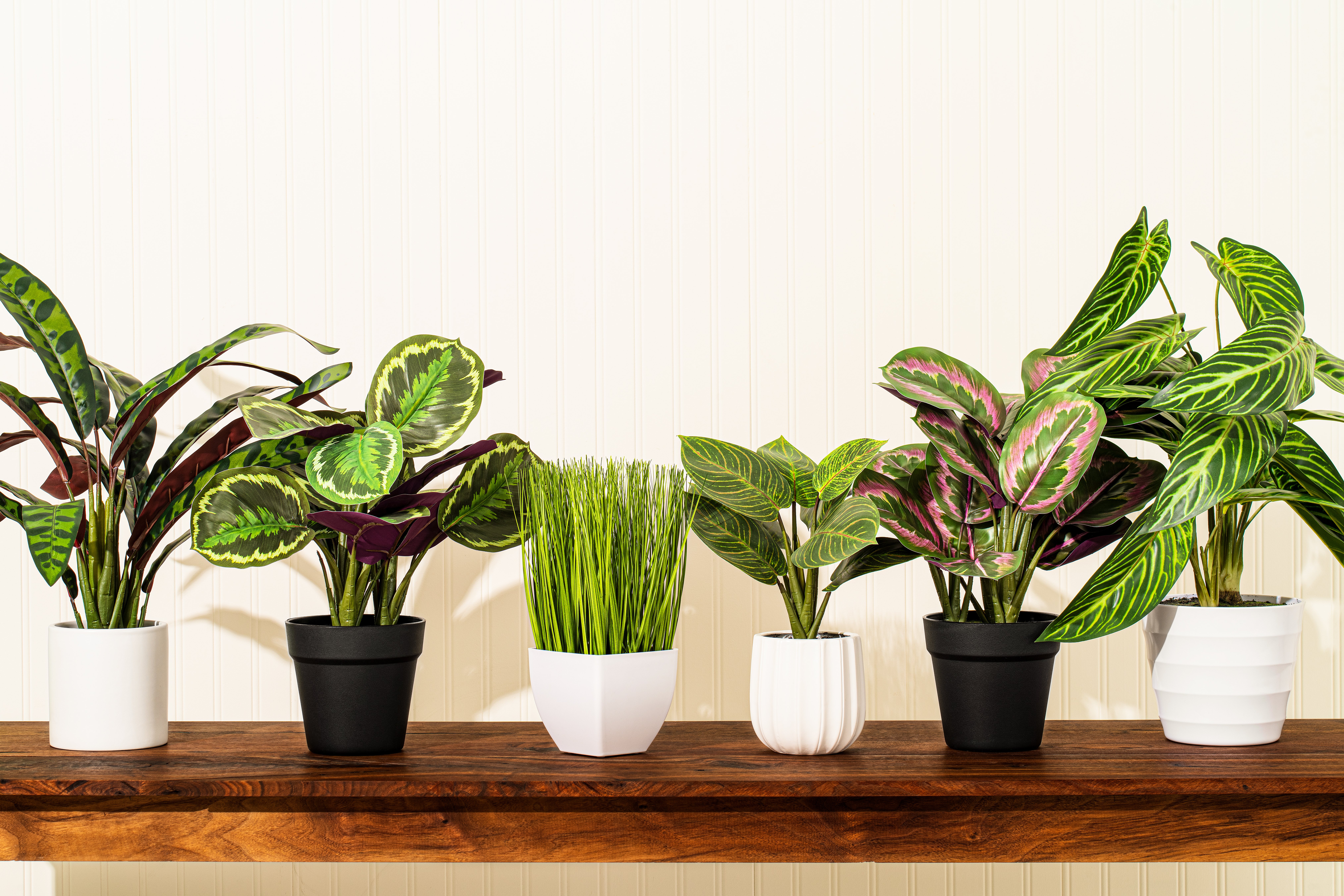 Line of faux potted plants in different pots and vessels against white wall